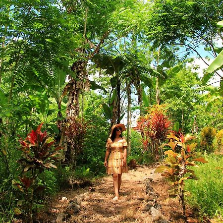 Natura Gardens Galapagos Bellavista  Exterior photo