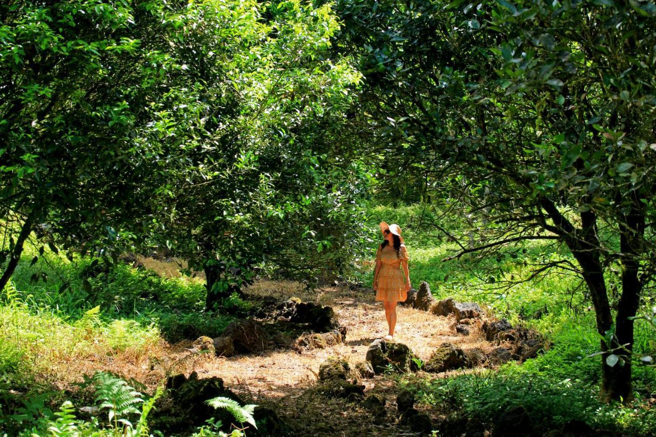 Natura Gardens Galapagos Bellavista  Exterior photo