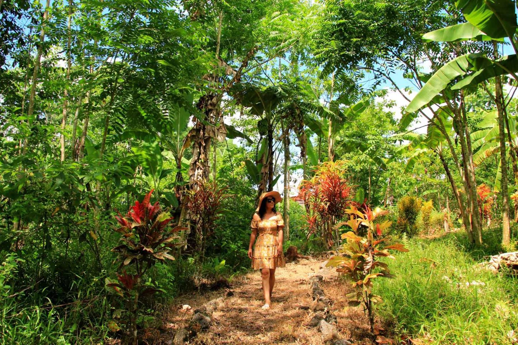 Natura Gardens Galapagos Bellavista  Exterior photo